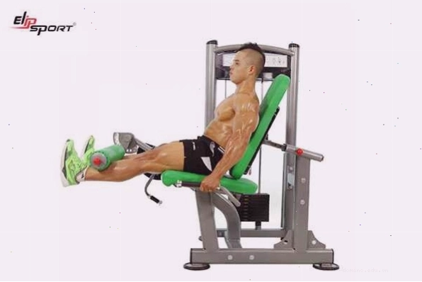 Cửa hàng Elipsport Quận Gò Vấp trưng bày nhiều loại máy tập gym