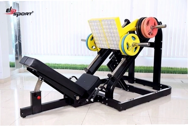 Đa dạng thiết bị tập gym tại Elipsport Phú Nhuận
