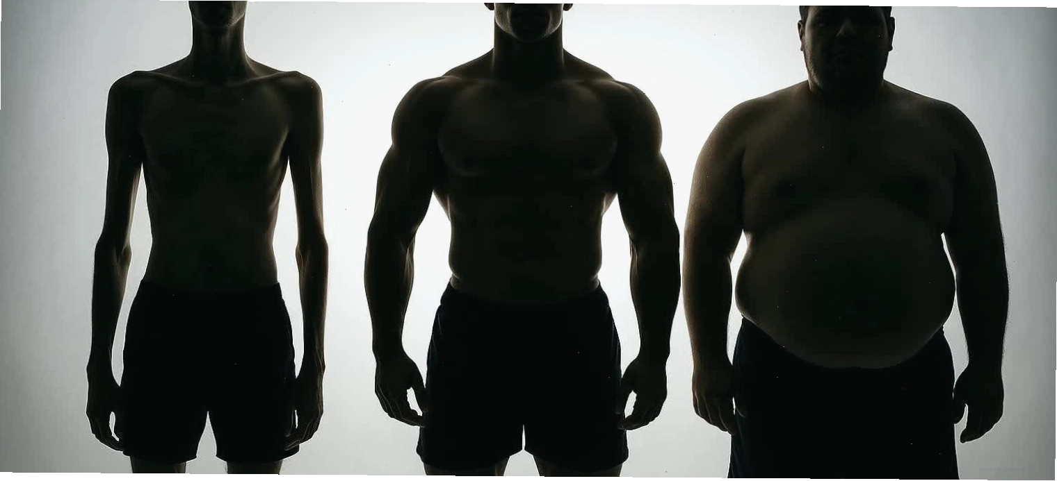 Dáng người Ectomorph, Mesomorph, Endomorph