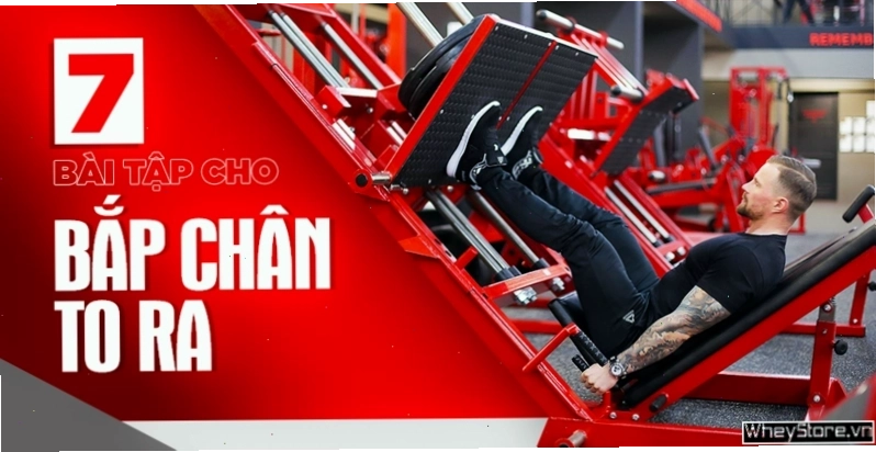 Dây cao su là dụng cụ hỗ trợ hiệu quả cho các bài tập bắp chân tại nhà