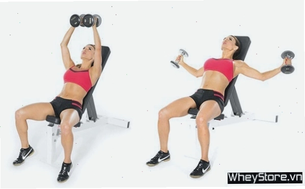 Đẩy tạ trên ghế (Bench Press) cho cơ ngực săn chắc