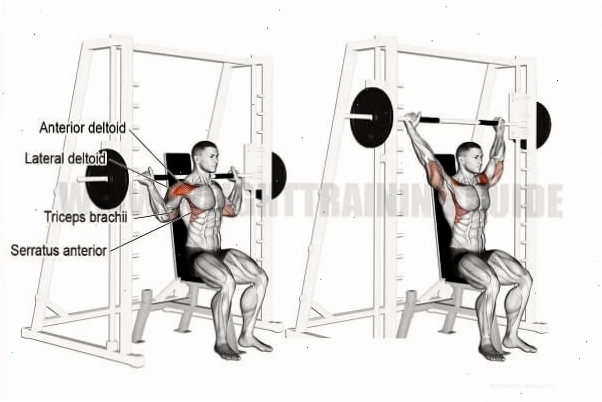 Đẩy vai sau cổ với máy Smith - Tác động sâu vào vai sau