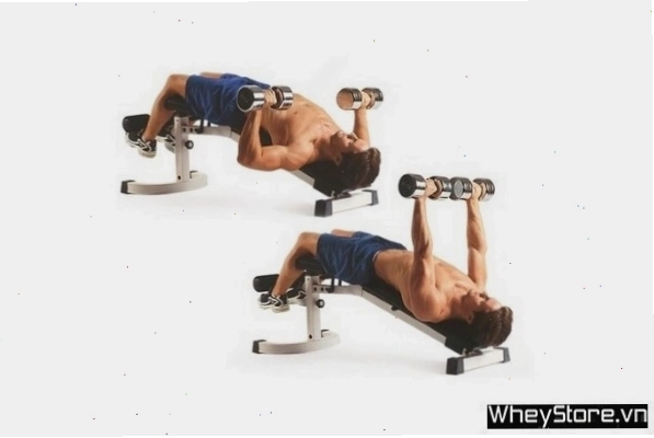 Decline Dumbbell Bench Press - Bài tập ngực dưới với tạ đơn
