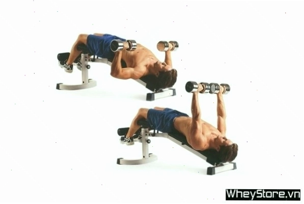 Decline Dumbbell Bench Press tập trung vào phần ngực dưới