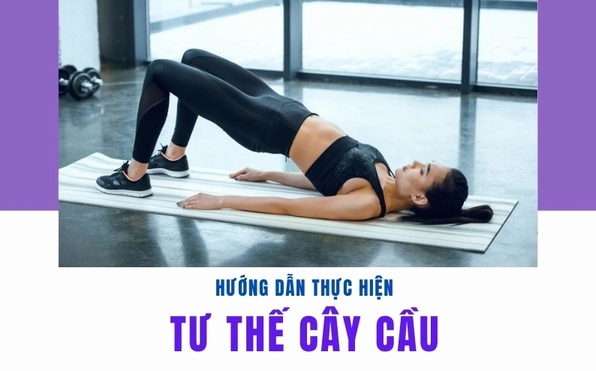 Động tác Cây cầu: Hướng dẫn chi tiết và lợi ích toàn diện 2026
