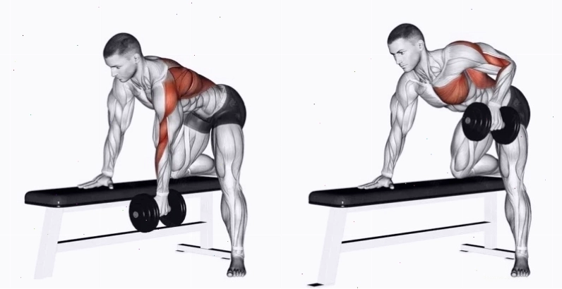 Động tác One-Arm Dumbbell Row tập trung vào cơ vai sau