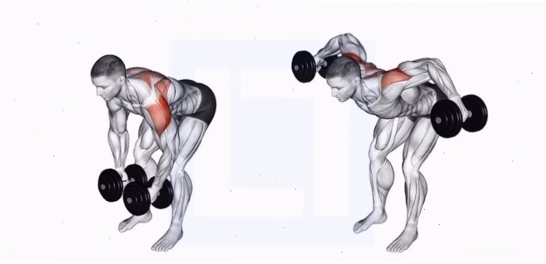 Động tác Standing Bent Over Lateral Raise với tạ đơn