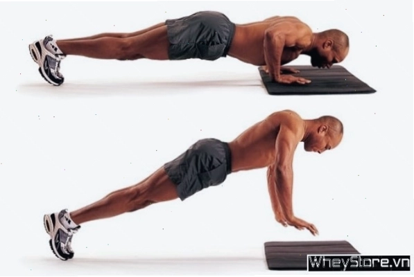 Dumbbell Bench Press bài tập cơ ngực với tạ đơn