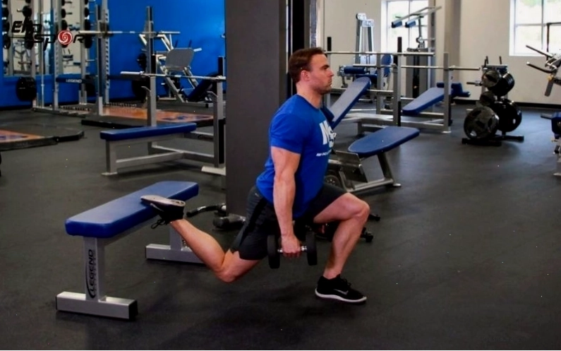Dumbbell Bulgarian Split Squat là bài tập tăng cường sức mạnh và sức bền cho phần thân dưới