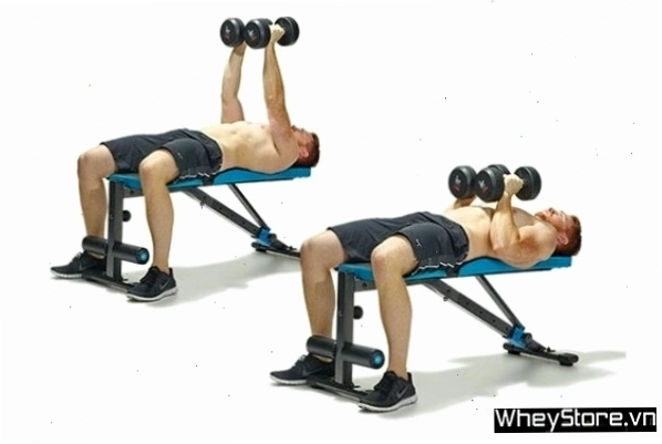 Dumbbell Chest Fly giúp kéo giãn cơ ngực