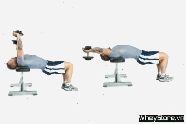 Dumbbell Chest Pullovers - Bài tập đa khớp cho ngực