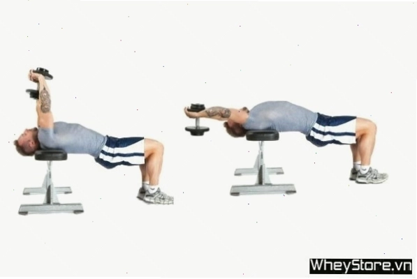 Dumbbell Chest Pullovers - Bài tập kéo tạ qua đầu