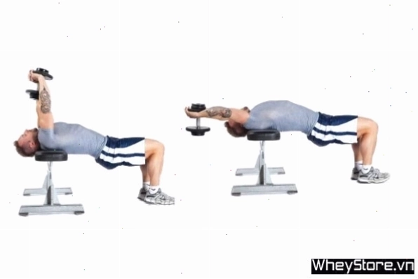 Dumbbell Chest Pullovers là bài tập kết hợp giữa ngực và lưng xô