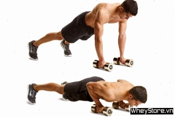 Dumbbell Front Raise hỗ trợ phát triển ngực trên