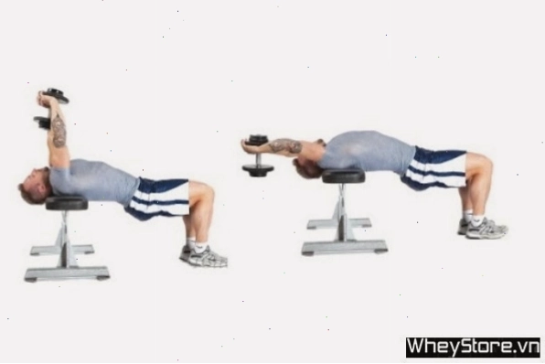 Dumbbell Front Raise hỗ trợ phát triển vai trước và ngực trên