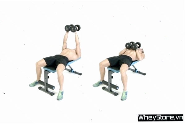 Dumbbell Front Raises - Bài tập nâng tạ trước