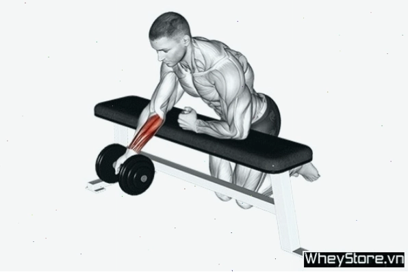 Dumbbell one-arm reverse wrist curl giúp tác động sâu vào từng bên cẳng tay