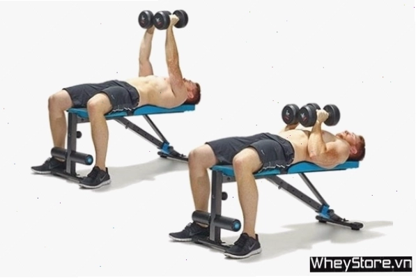 Dumbbell pullover phát triển cơ ngực