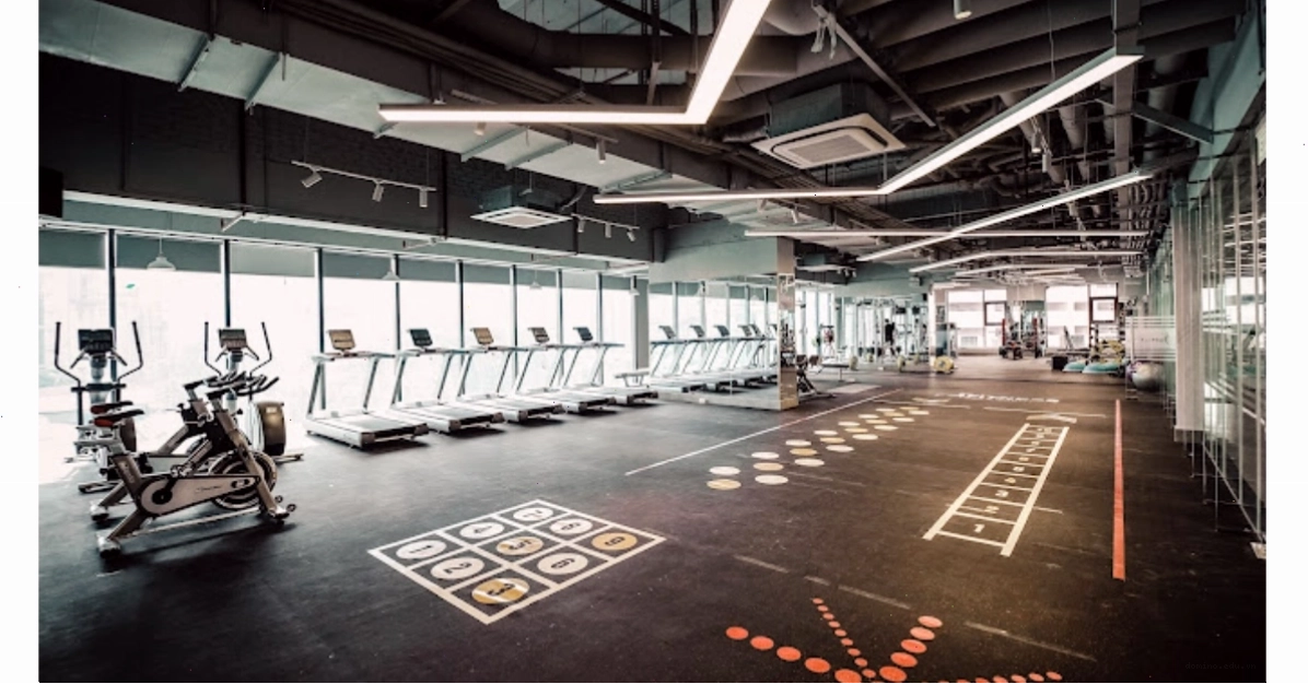 Ecofit Center - Địa chỉ tập gym uy tín với huấn luyện viên giàu kinh nghiệm