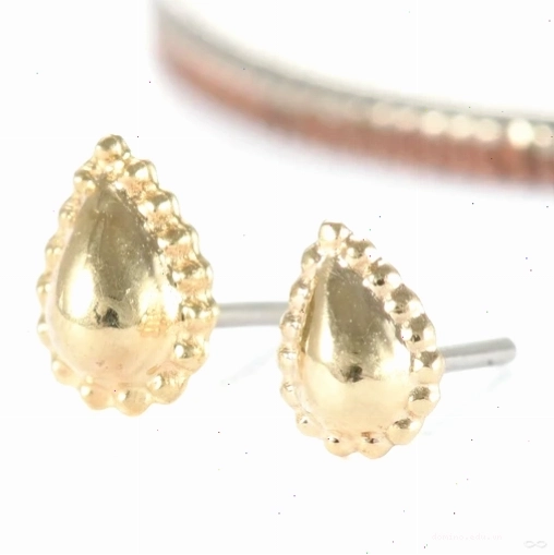 Fat Bottomed Girl Press-fit End in Gold from Regalia