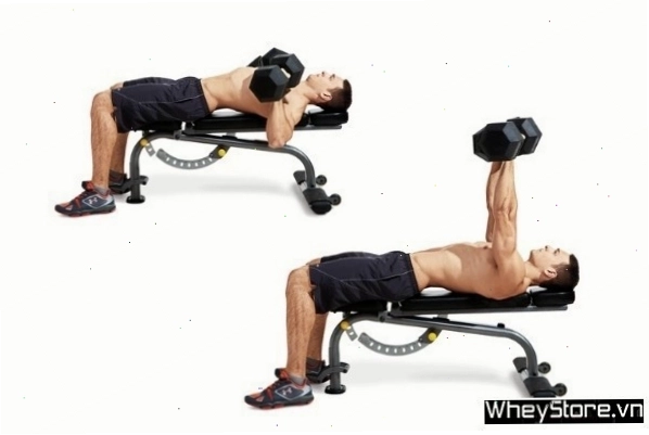 Floor Dumbbell Flyes - Bài tập ép ngực trên sàn với tạ đơn