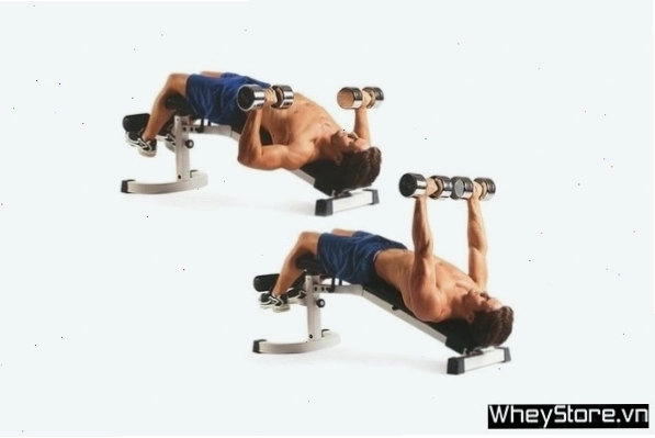 Floor Dumbbell Flyes - Bài tập ngực giữa trên sàn