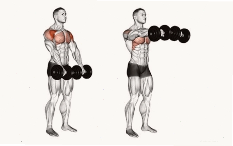 Front Raise (Bay vai trước với tạ đơn)