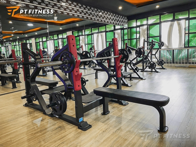 Ghế Bench Tập Gym: Hướng Dẫn Chi Tiết Lựa Chọn Và Sử Dụng Hiệu Quả