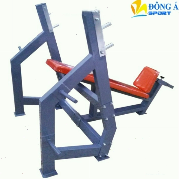 Ghế đẩy tạ dốc trên phòng tâp GYM