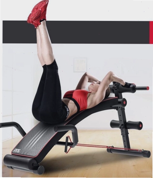 Ghế tập bụng đa năng PT5040 thiết kế hiện đại
