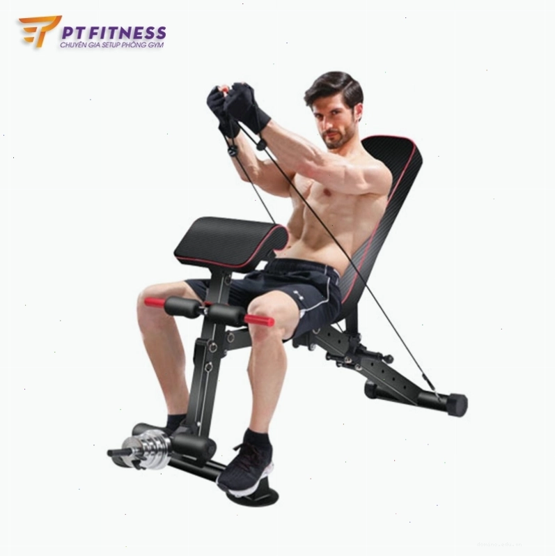 Ghế tập gym đa năng PT5062 với thiết kế hiện đại