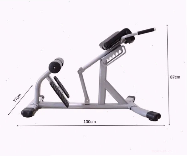 Ghế tập lưng bụng HQ-7007 - Dụng cụ tập tạ đa năng cho phòng gym tại nhà
