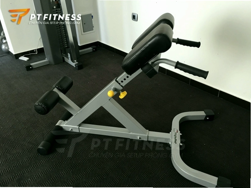Ghế tập lưng dưới Impulse IF45 trong không gian phòng gym