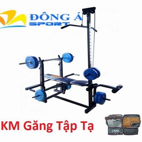 Ghế tập tạ đa năng Xuki: Giải pháp rèn luyện thể hình toàn diện tại nhà