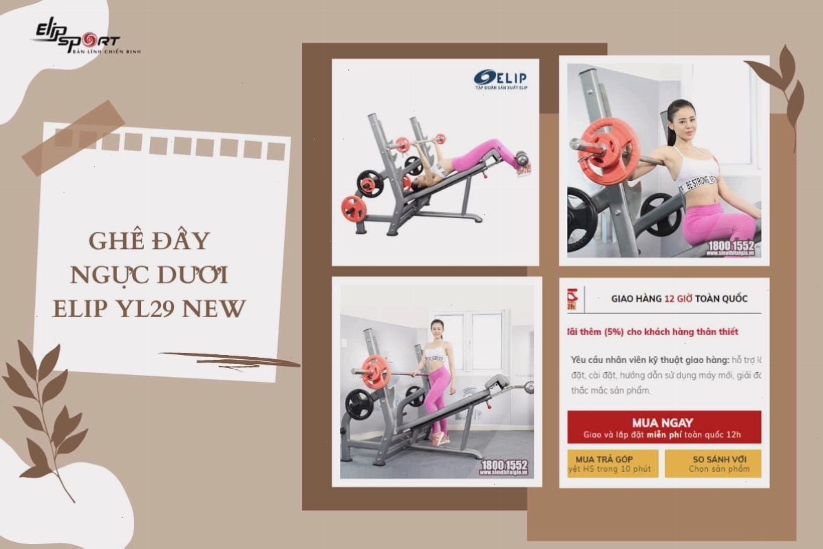 Ghế tập tạ nằm ELIP YL29 New với thiết kế hiện đại