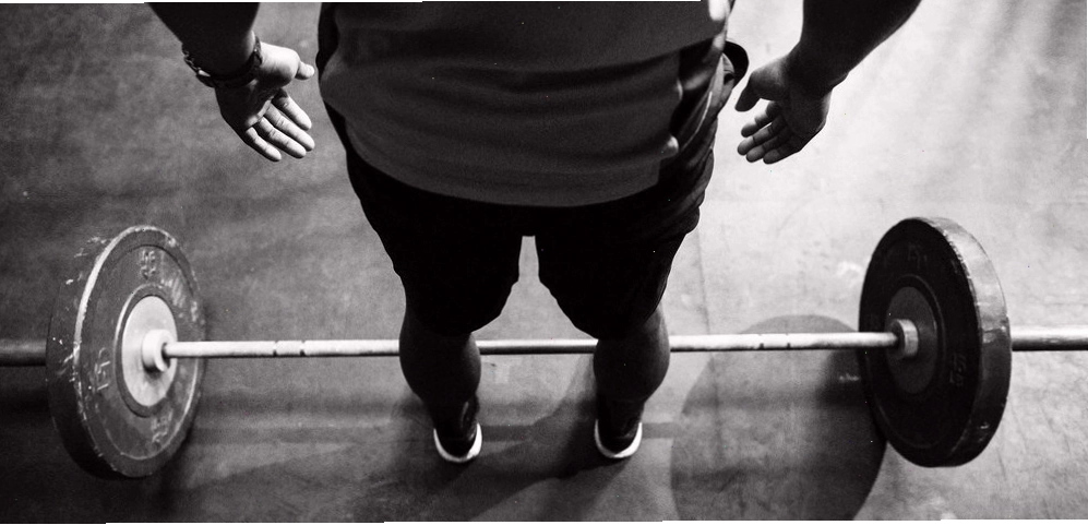 Giao diện ứng dụng theo dõi hiệu suất tập luyện tại gym
