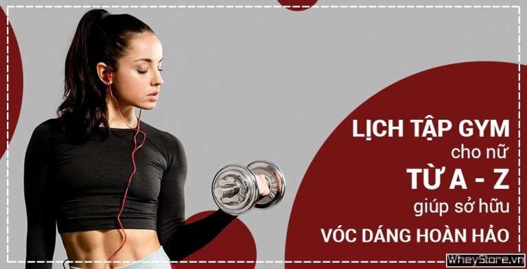 Giáo trình tập gym cho nữ: Lộ trình toàn diện từ A-Z 2026