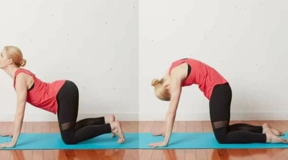 Giáo viên hướng dẫn yoga trực tuyến qua video