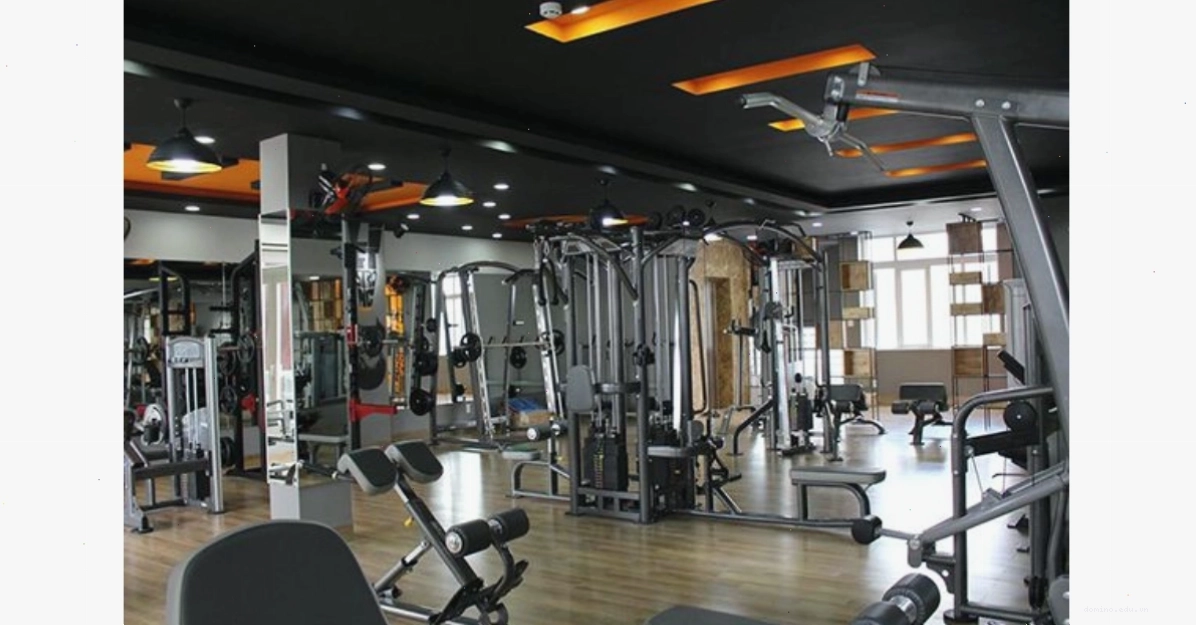GOFIT Fitness & Yoga - Phòng tập gym và yoga uy tín tại TP.HCM
