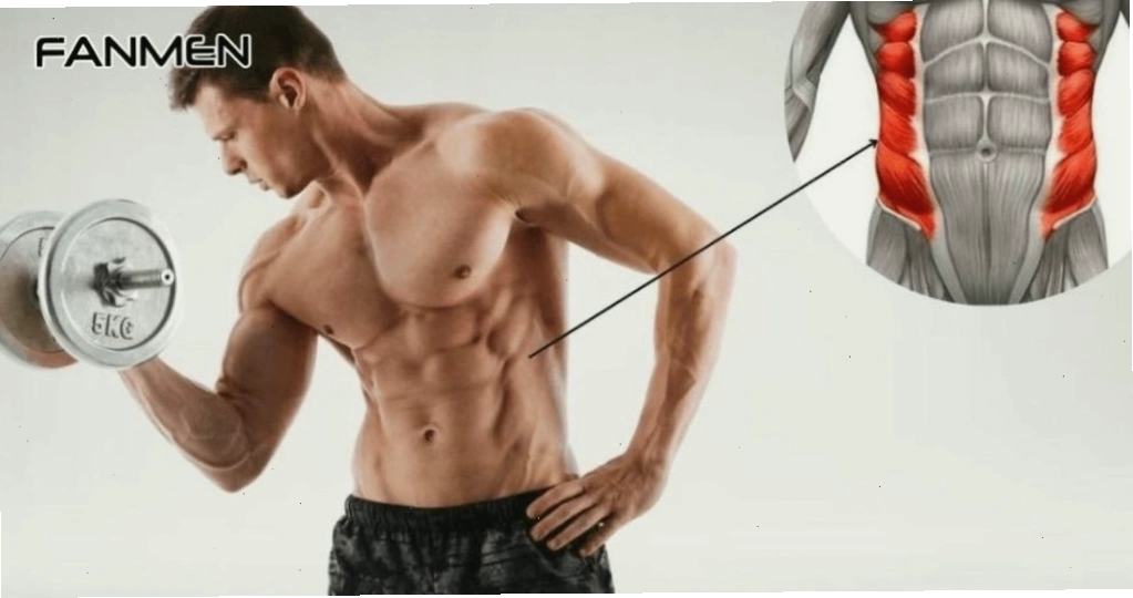 Gợi ý lịch tập cơ liên sườn cho nam