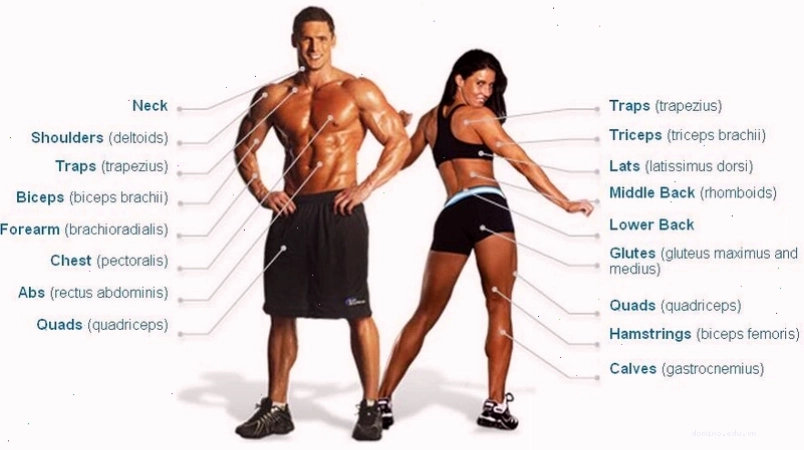 Gym-goer là người thường xuyên lui tới phòng tập gym để rèn luyện sức khỏe