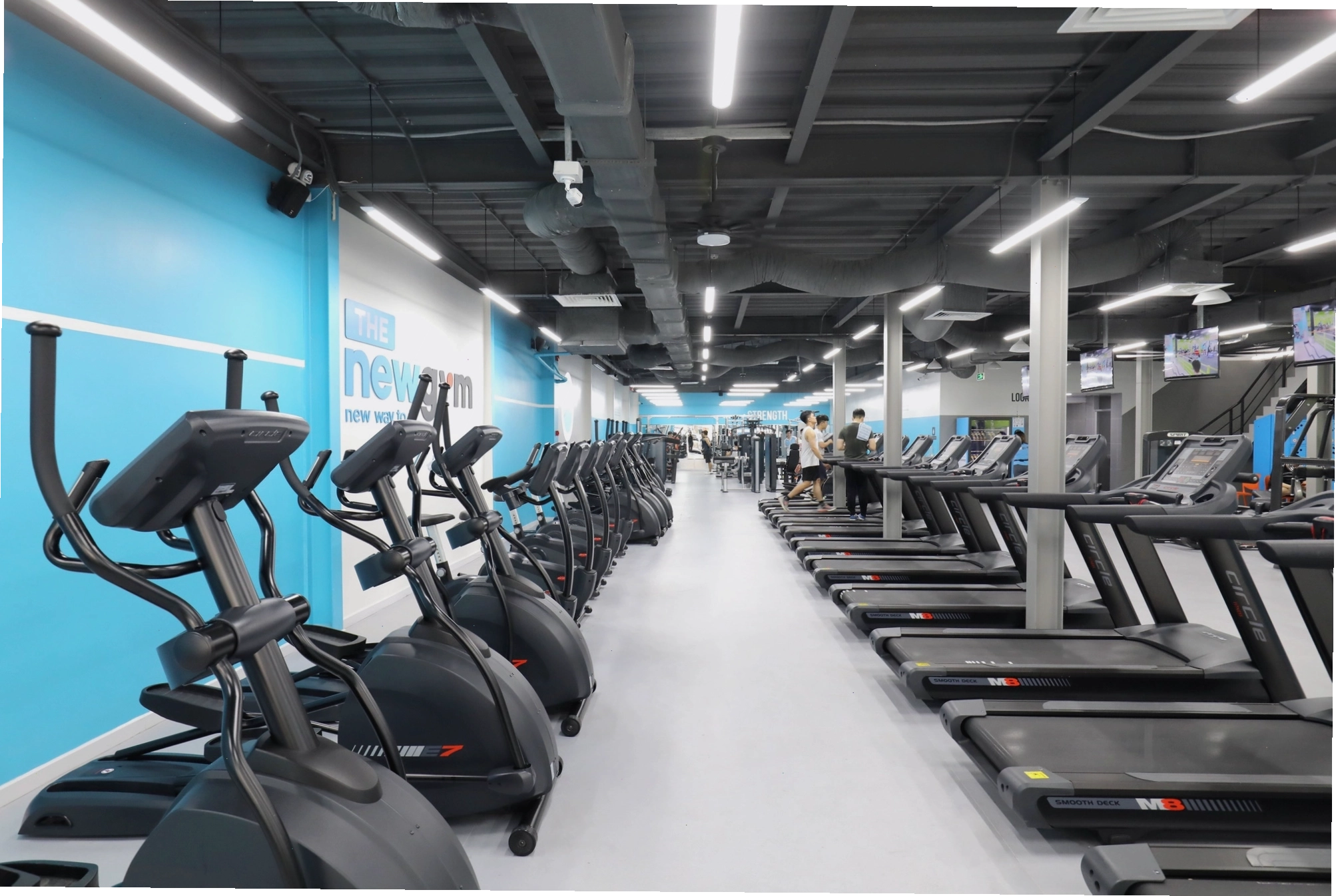 Gymer tập luyện với tạ tại The New Gym