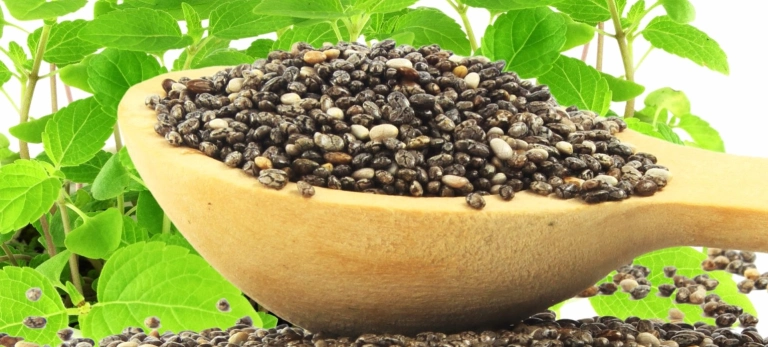 Hạt Chia Có Giúp Giảm Cân Không? Hướng Dẫn Sử Dụng Hiệu Quả