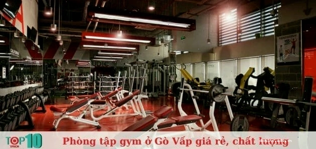 Hệ thống máy móc hiện đại tại Royal Gym Gò Vấp