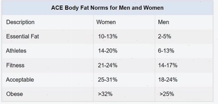 Hình ảnh minh họa công cụ tính body fat trực tuyến