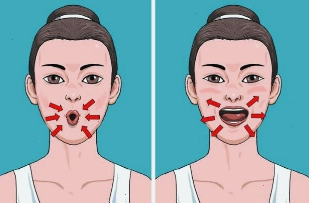 Hình ảnh minh họa tầm quan trọng của xương quai hàm đối với cấu trúc khuôn mặt