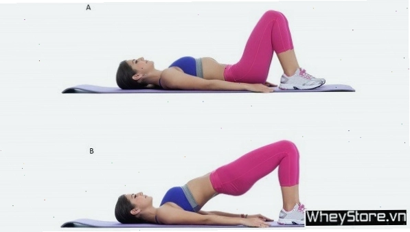 Hình ảnh người tập thực hiện các động tác Hip Thrust khác nhau