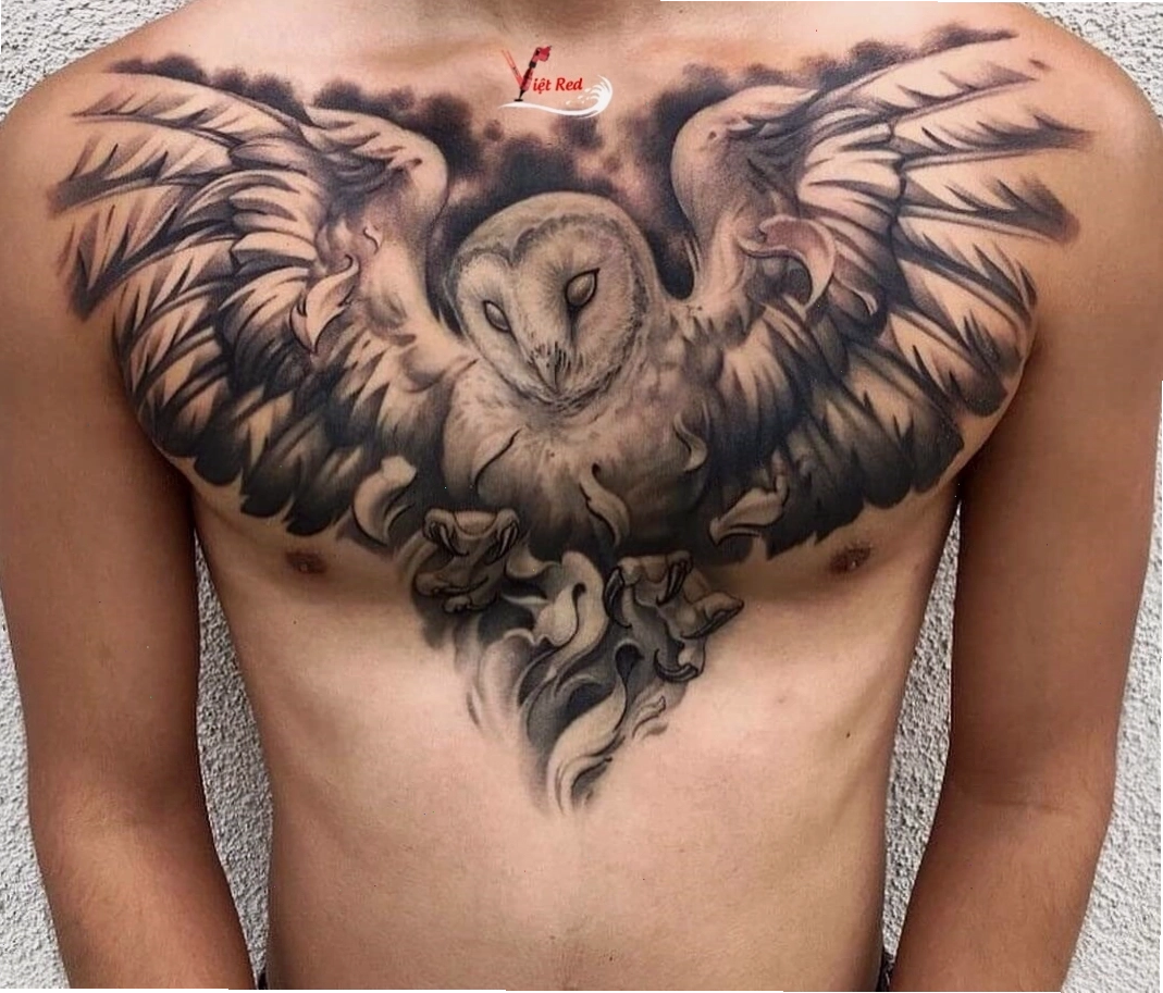 Hình xăm chim cú trước ngực mang vẻ đẹp bí ẩn và thông thái