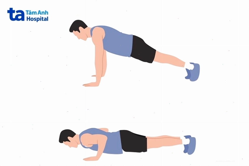 Hít đất giúp phát triển cơ bắp toàn diện
