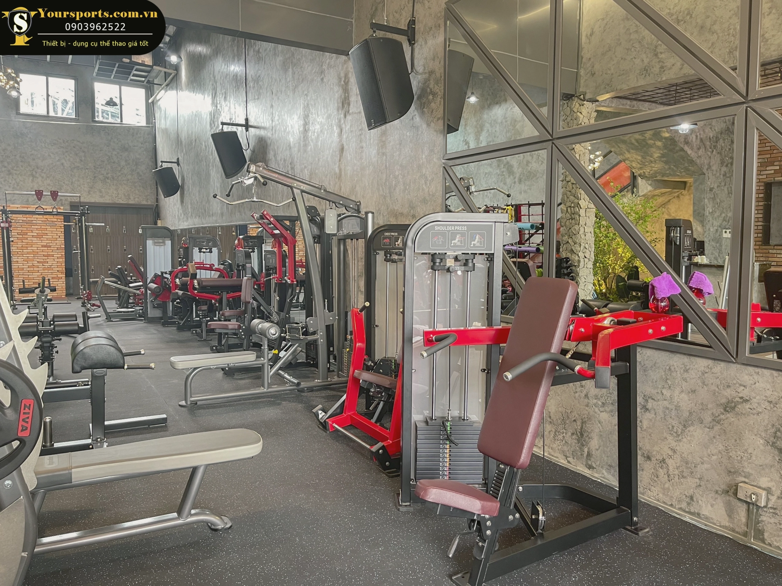 Huấn luyện viên hướng dẫn người mới tập gym